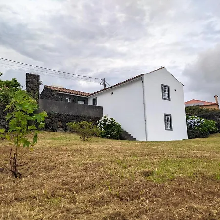 Casa Das Hortensias Horta  Exterior foto